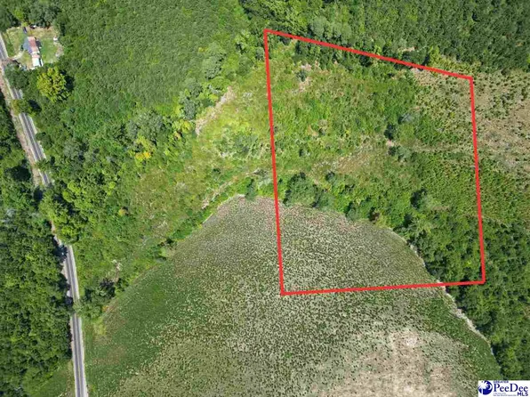 9.14 Acress Off Dalcho Rd, Latta, SC 29565