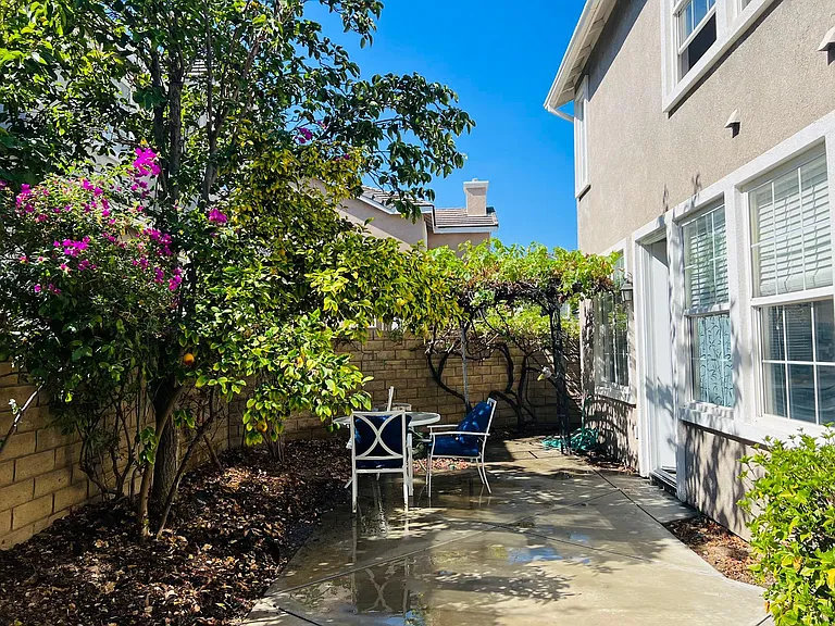 Backyard with mature trees