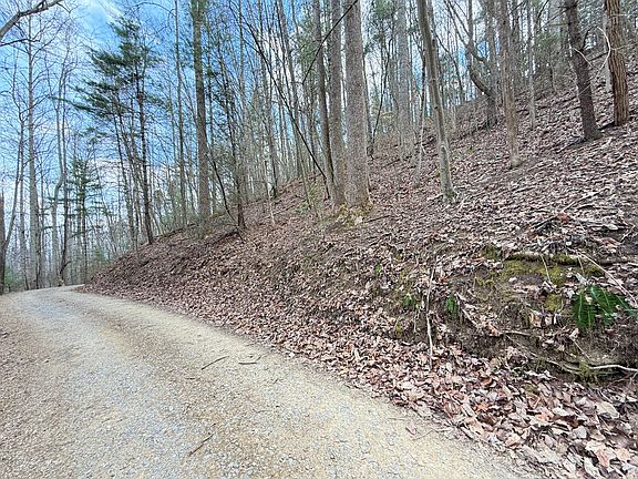 4th image of 4.1 Reece Hollow Rd