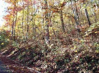 2818 Joyner Hills Ln, Sevierville, TN 37876