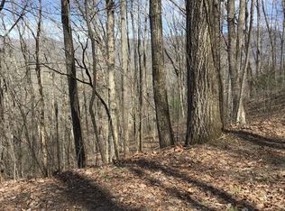 61 Shiloh Dr, Hayesville, NC 28904