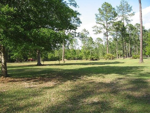 View from front looking into peaceful backyard