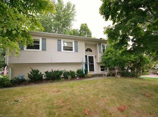 10186 Belmeadow Dr, Twinsburg, OH 44087