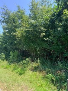 0 Society Rd, McClellanville, SC, 29458