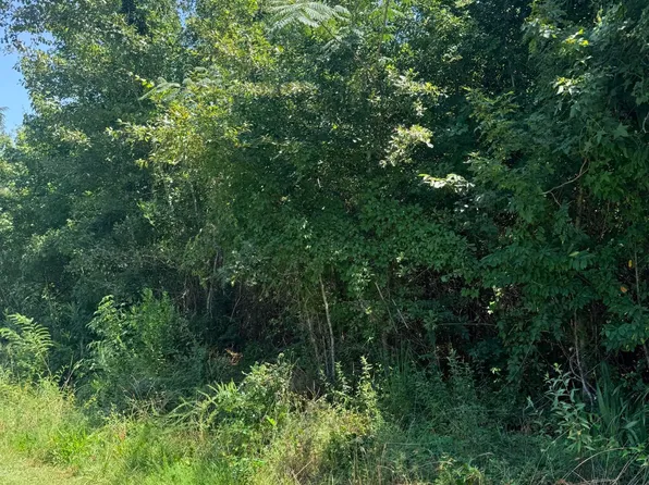0 Society Rd, McClellanville, SC 29458
