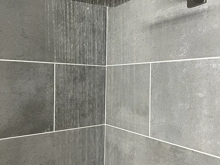 Master bathroom with rainfall showerhead