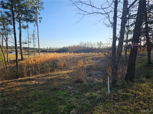 0 Tuliptree Ln, Northport, AL 35473