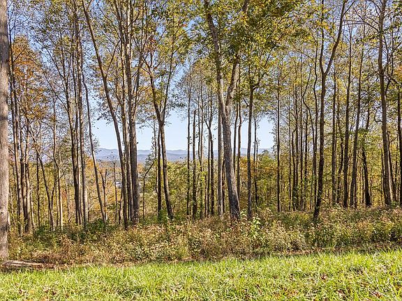 4th image of 375 Calloway Mountain Rd