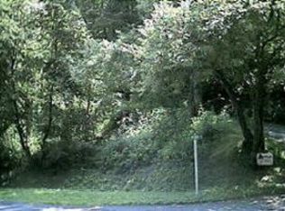 48 Spirit Mountain Rd, Waynesville, NC 28786