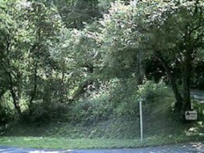 48 Spirit Mountain Rd, Waynesville, NC, 28786