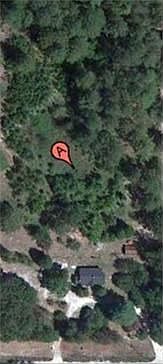 2nd image of 848 Belvedere Clearwater Rd