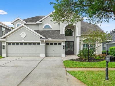 11627 Renaissance View Ct, Tampa, FL, 33626