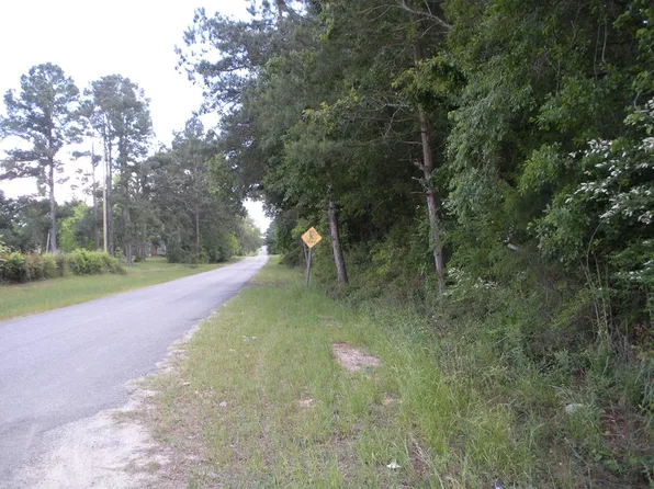 5669 Raccoon Rd, Pelham, GA 31779