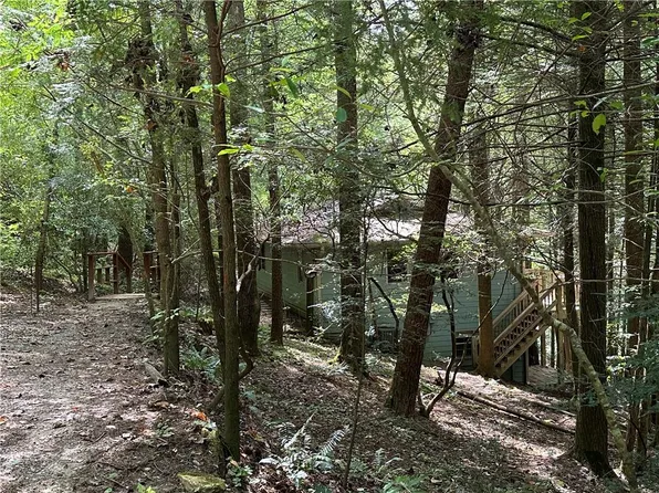 13276 Big Creek Rd, Cherry Log, GA 30522