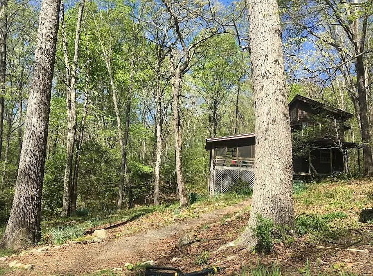 2867 Chicken Bridge Rd — Photo 13