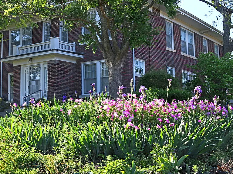 The Vintage at Mesta Park — Photo 78
