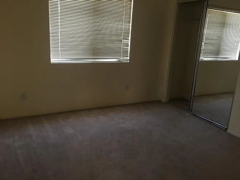 27706 Clio Ln — Photo 15