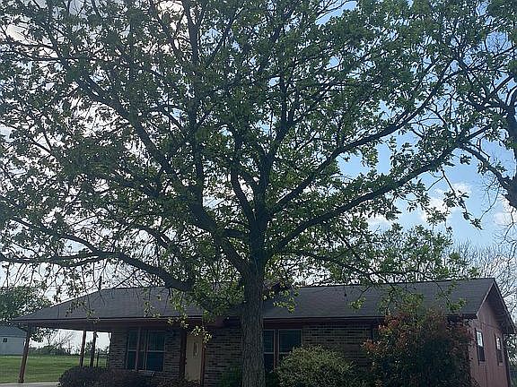 3rd image of 219 River Hills Dr