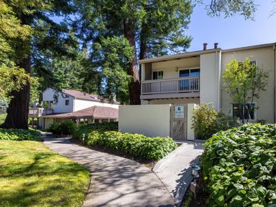 19113 Vineyard Ln, Saratoga, CA, 95070