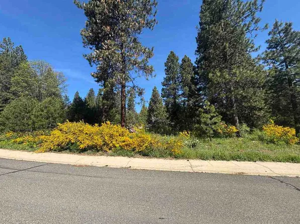 LOT 39 Panther Meadow Dr, McCloud, CA 96057