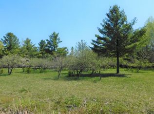 N Bear Springs Rd, Hubbard lake, MI 49747