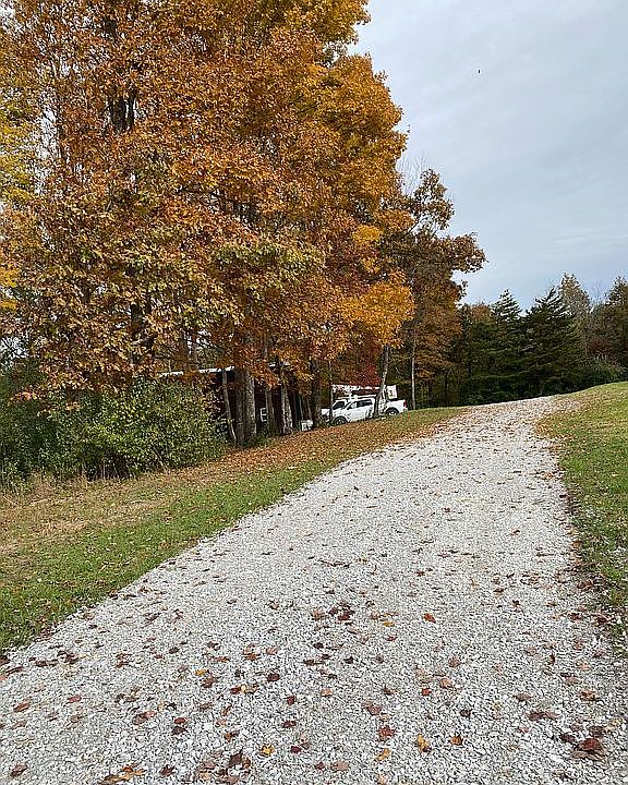 2nd image of 178 Cardinal Ln