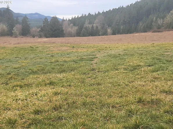 39933 Layng Creek Rd, Dorena, OR 97434