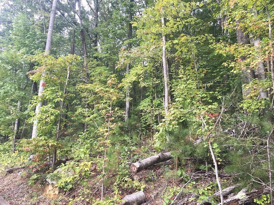 2nd image of 908 Hidden Ledge Trl