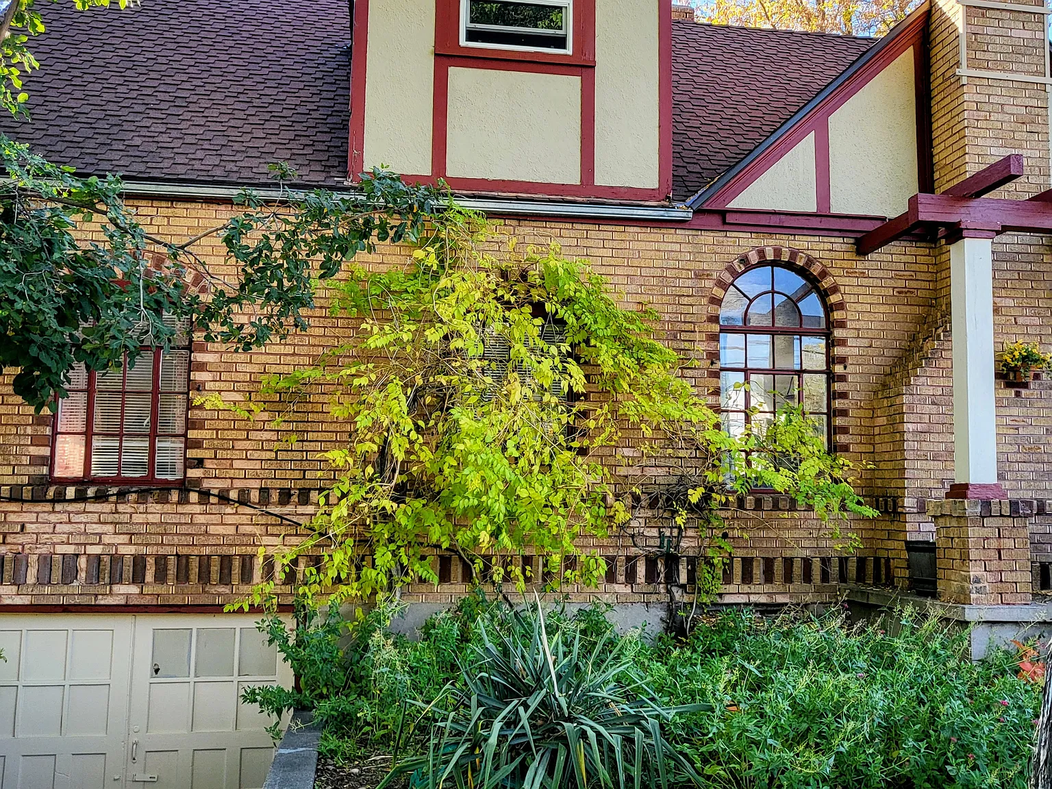 1 bed, 481 sqft, $1,350 — Photo 1