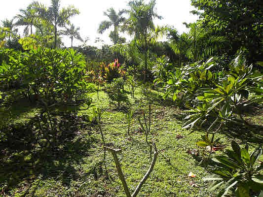 1st image of 5-7791 Kuhio Hwy Lot 53