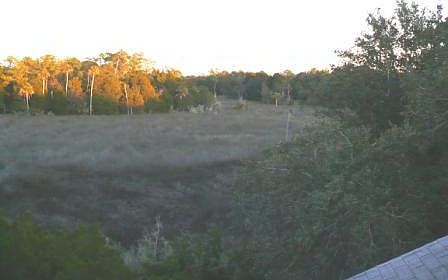 4th image of 11435 W Dixie Shores Dr
