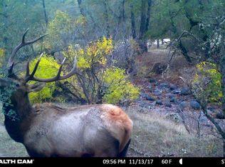 160 Acres Off, Oak Run, CA 96069