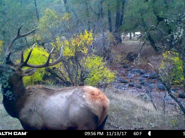 160 Acres Off, Oak Run, CA 96069