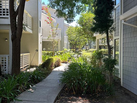 Back Walkway from both Patios