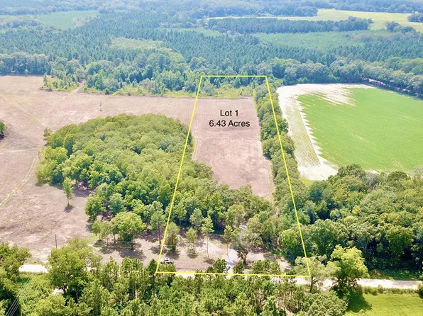 L1 New Hinson Rd, Slocomb, AL 36375