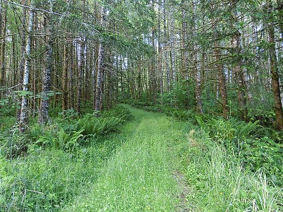 2nd image of 375 N Goble Creek Rd