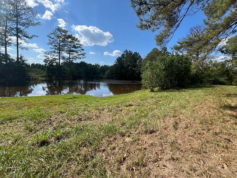 2997 Highway 589 — Photo 5
