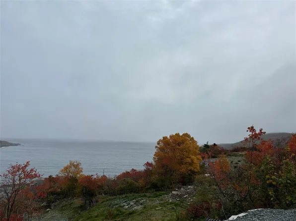 41-45 Motion Bay Road Extension, Petty Harbour- Maddox Cove, NL A0A3H0