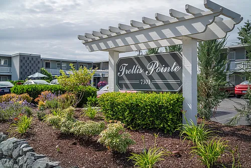 Trellis Pointe Apartments Photo 1