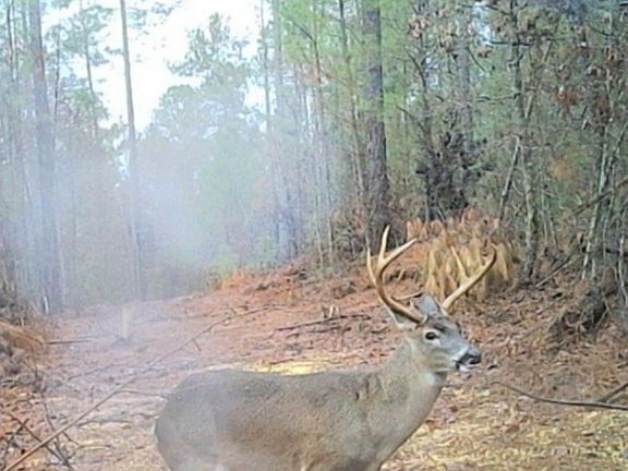2nd image of 0 John Rucker Rd