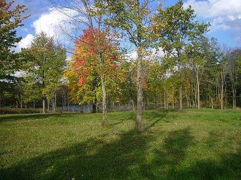 3rd image of 3010 Wood Duck Ln SE