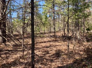 W Vermillion Rd, Paradise, MI 49768