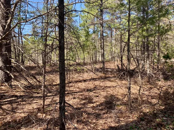 W Vermillion Rd, Paradise, MI 49768