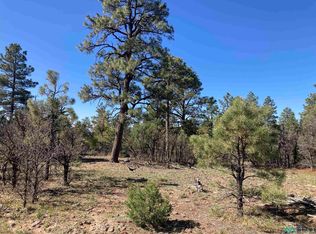 Rim Lots 68 & 69 Dr, Los Ojos, NM 87551