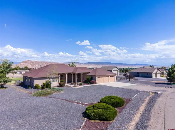 8692 Saddle Ridge Road, Austin, CO 81410