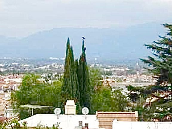 2nd image of 527 S Alhambra Ave