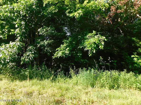 719 Whistle Valley Rd, New Tazewell, TN 37825