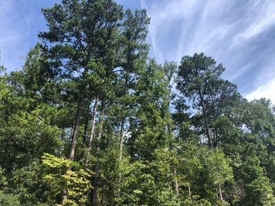 State Highway 63, Ashland, AL, 36251