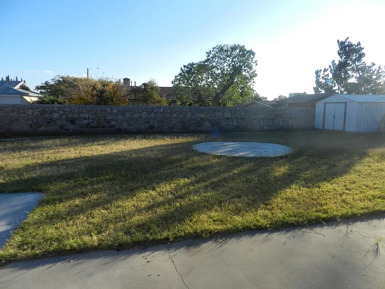 Backyard