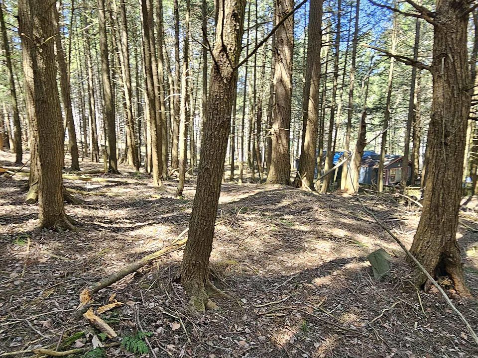 1st image of 125 Deer Lane